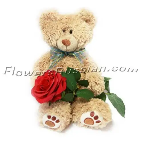 Teddys Affection, Flower Delivery to Russia, FlowersRussian