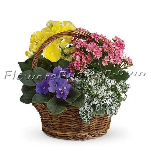 Summer Floral Basket, Flower Delivery to Russia, FlowersRussian