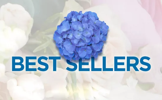 Most Popular Flowers in Russian - Best sellers Bouquets, Flowersrussian
