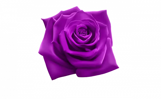 Purple Flowers & Bouquets Delivery to Russia: Order Online with FlowersRussian
