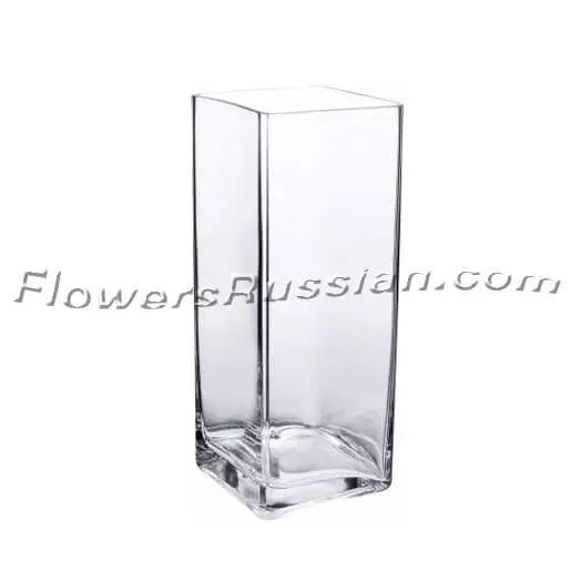 VamiJen Glass Vase