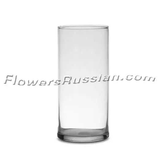 VamiJen Glass Vase  (12 inch, Clear)