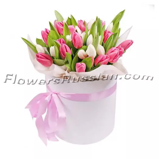 35 Pink And White Tulips In A Box