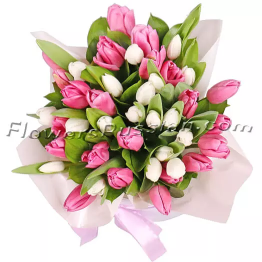 35 Pink And White Tulips In A Box