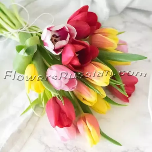 Bouquet Tulip Rainbow
