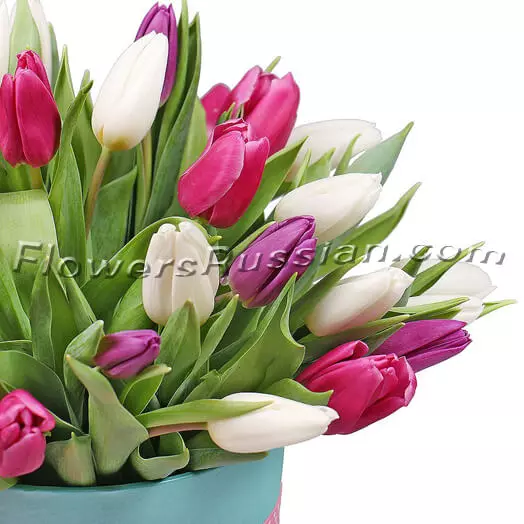 31 Tulips In A Box