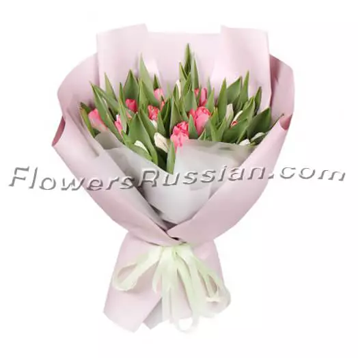 Bouquet 25 White And Pink Tulips