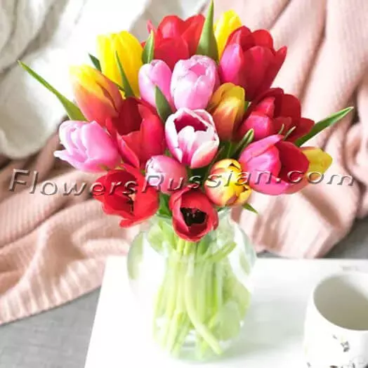Bouquet Tulip Rainbow