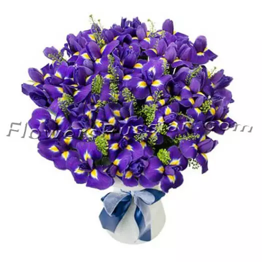 Bouquet Iris 49 pcs