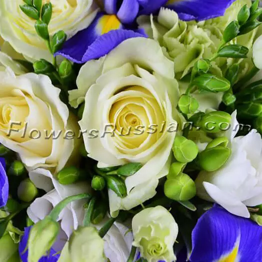 Bouquet Variation
