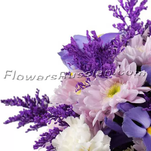 Violet 3 • FlowersRussian