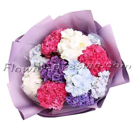 Bouquet Of 11 Hydrangeas