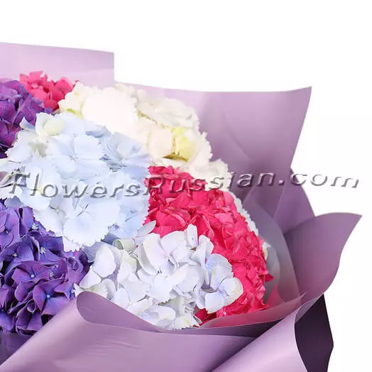 Bouquet Of 11 Hydrangeas