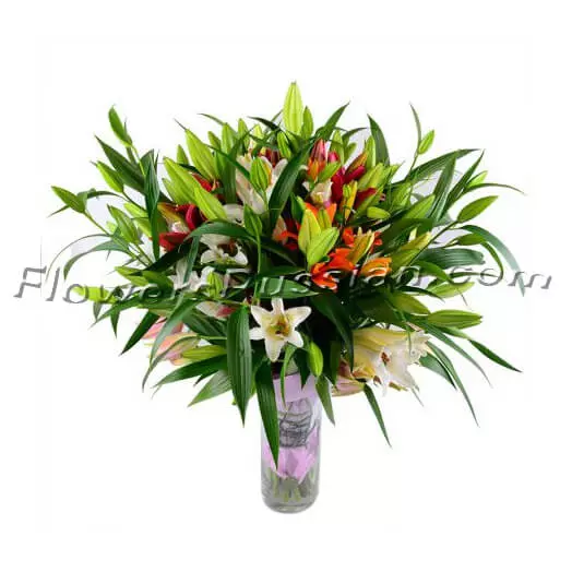 Bouquet Lilies