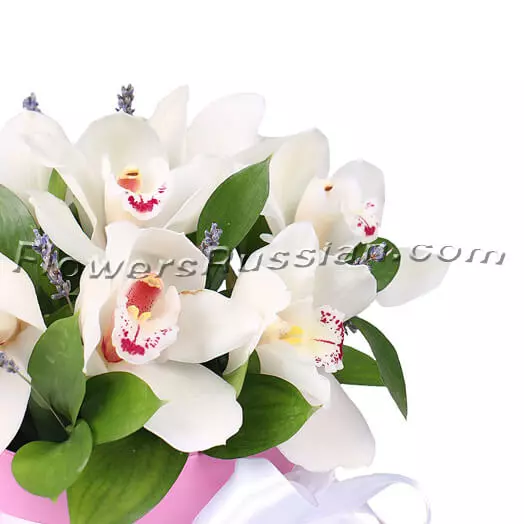 Bouquet Tenderness Of Orchids