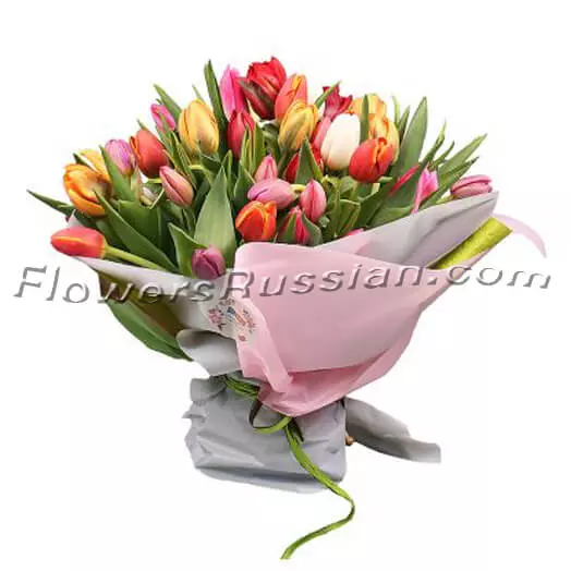 Bouquet 51 Tulips Mix