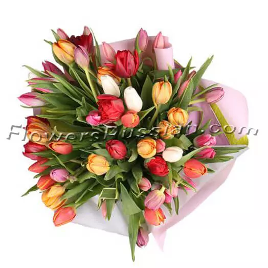 Bouquet 51 Tulips Mix