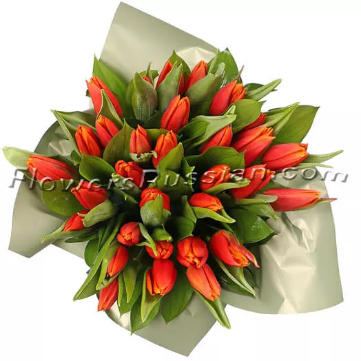 Box With Tulips