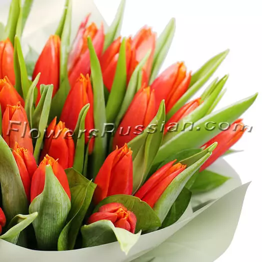 Box With Tulips