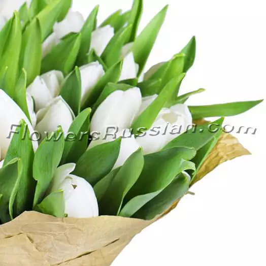 Bouquet 51 White Tulips
