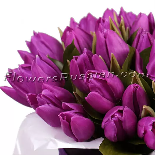 Purple Tulips In A Box