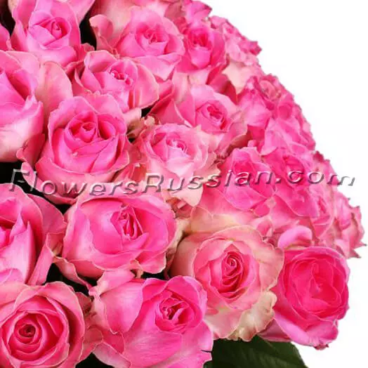 Bouquet 101 Pink Rose