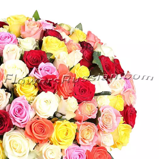 175 Multi-Colored Roses