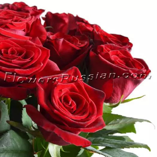 Bouquet 25 Roses