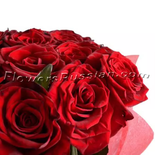 Bouquet 25 Roses 60 cm