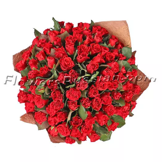 Bouquet 101 Red Roses El-Toro