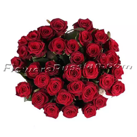 Bouquet 35 Roses