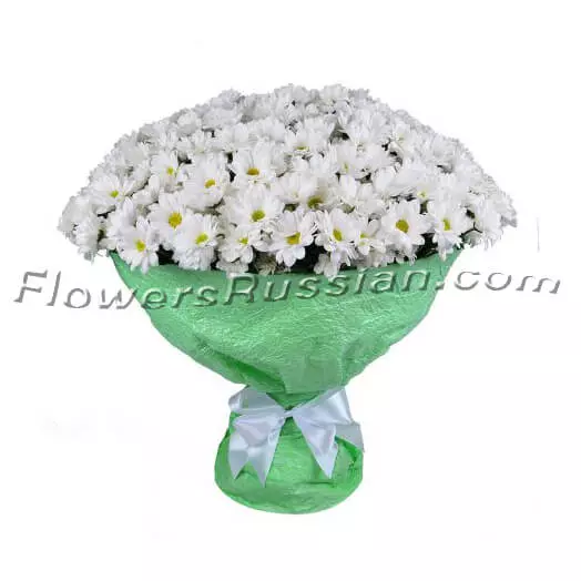 Big Bouquet Of Chrysanthemums