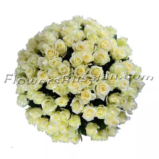 Bouquet 101 White Roses