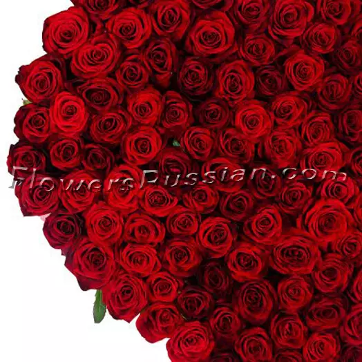 Rose Heart (145 Roses)
