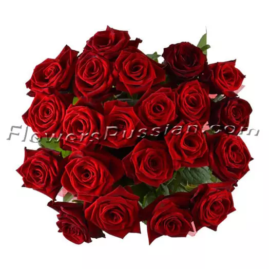 21 Red Roses to USA
