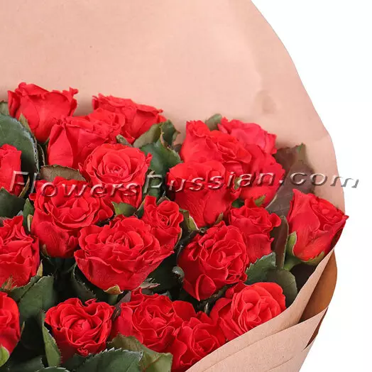 25 Red Roses to USA