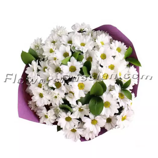 Bouquet Of Chamomiles to USA