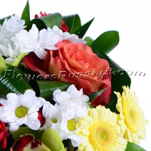Flower Gift to USA
