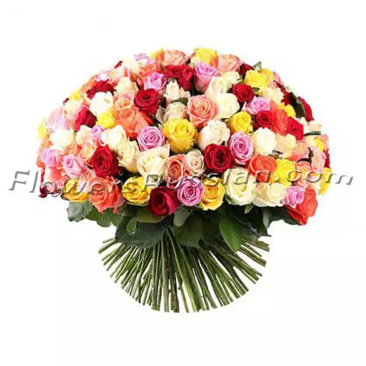 Bouquet 175 Multi-Colored Roses to USA