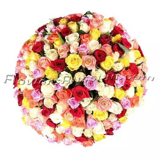 Bouquet 175 Multi-Colored Roses to USA
