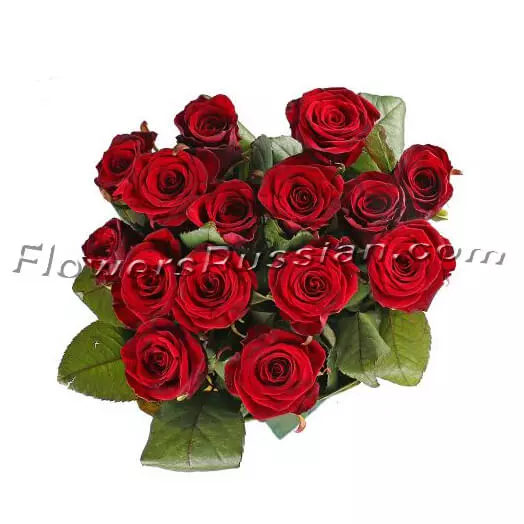15 Roses to USA