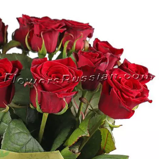 15 Roses to USA