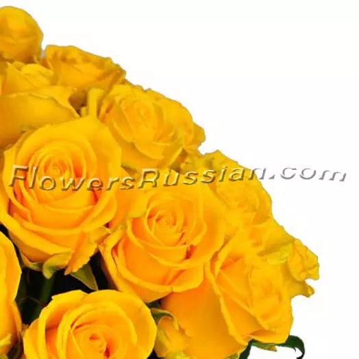 Bouquet 101 Yellow Roses to USA
