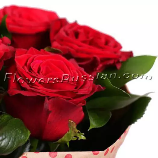 7 Red Roses to USA