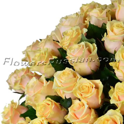 Bouquet 101 Creamy Roses to USA