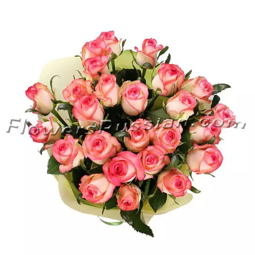 25 Pink Roses to USA