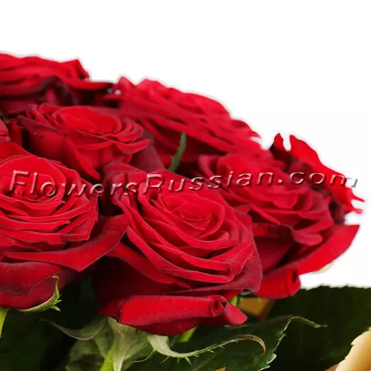 21 Roses to USA